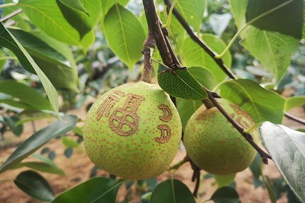 CQ9(电子中国)官方网站