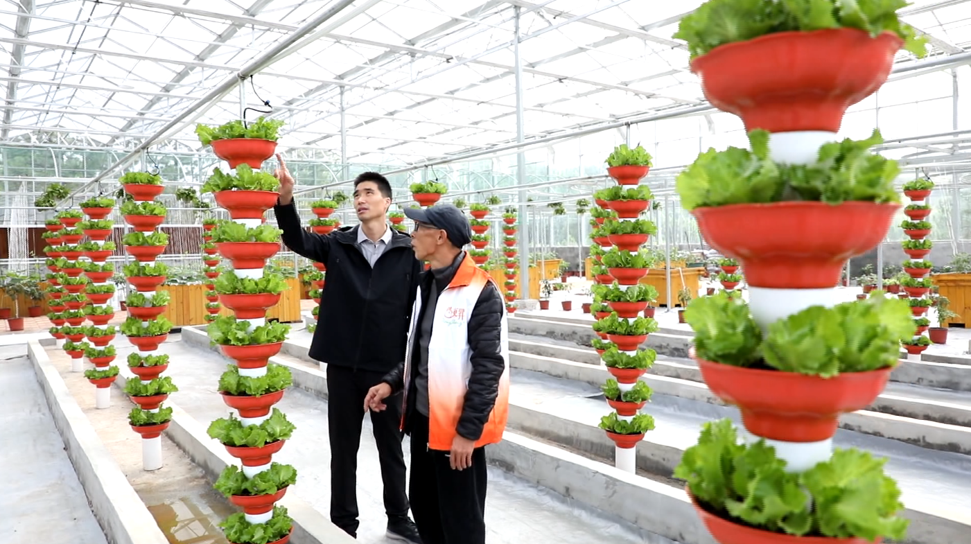 CQ9(电子中国)官方网站